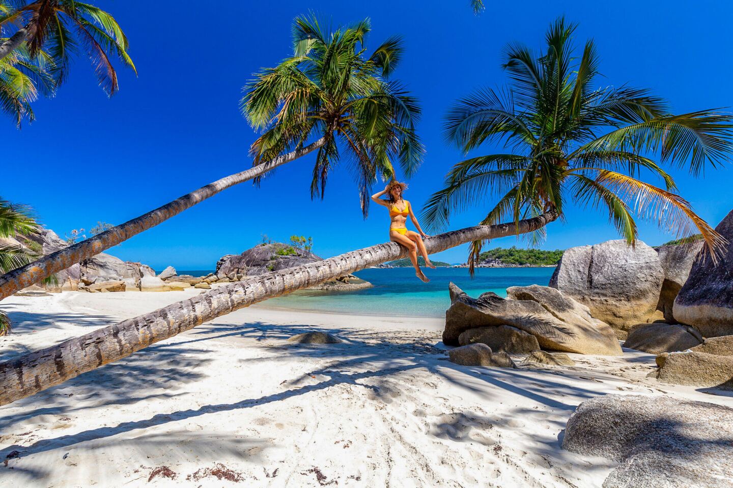 A guest resting on a palm trunk leaning over the beach