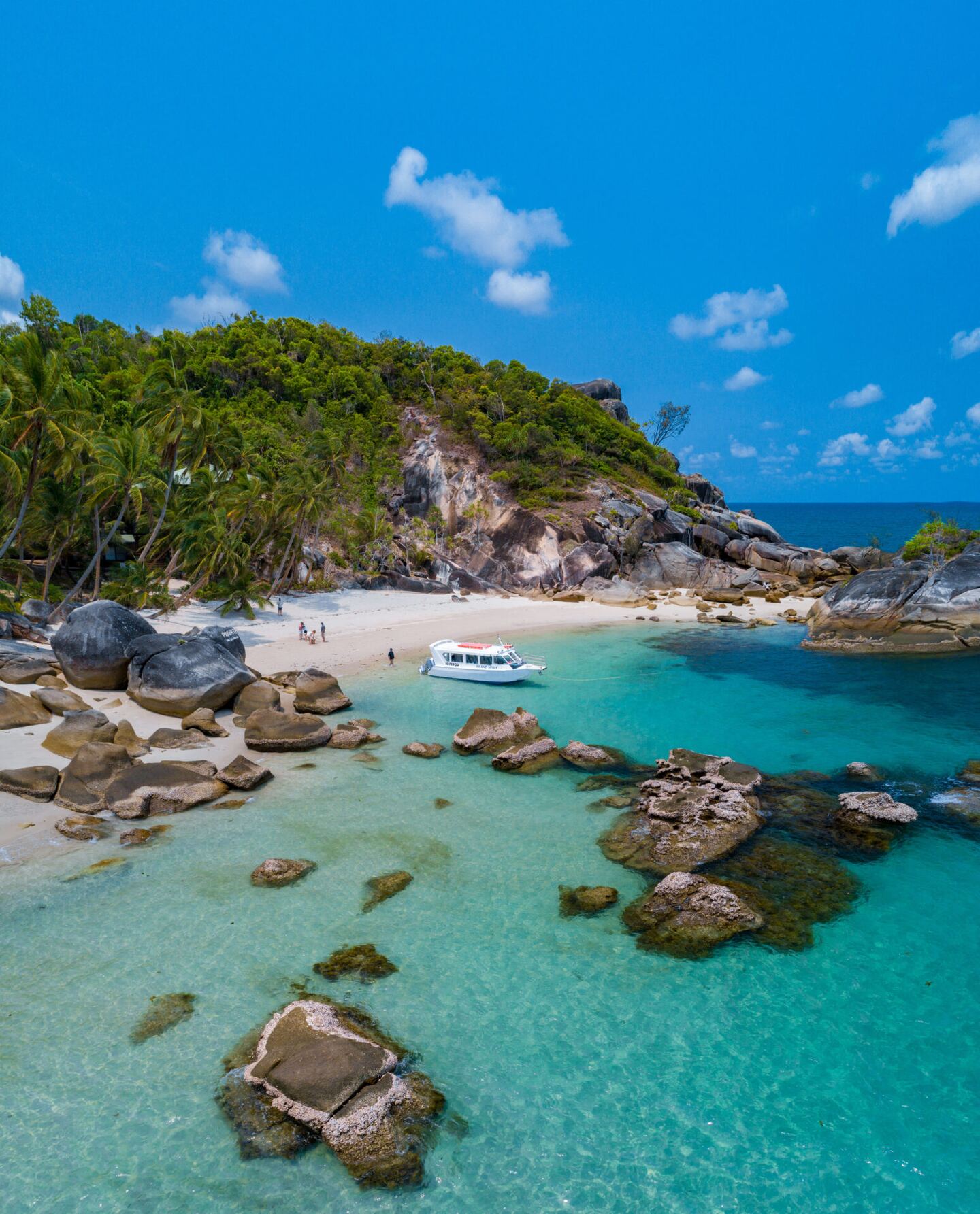 Aerial view of the palm-fringed cove, turquoise water and granite boulders